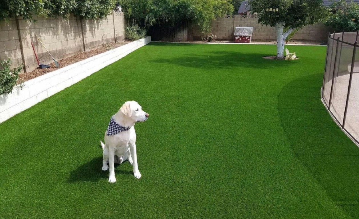 Pet Turf / Dog Turf Systems installation in Bridgeport, CT